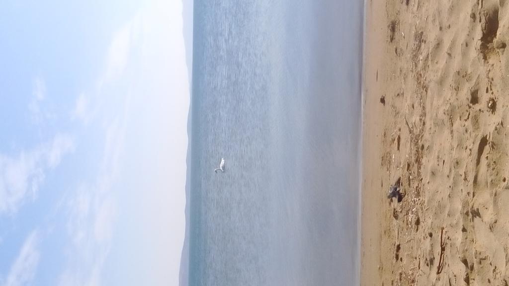 Beach Lichna Líkhna Dış mekan fotoğraf